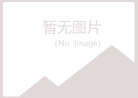 河池倾城零售有限公司